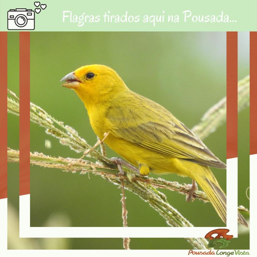 Pousada Longe Vista Tibagi Exterior foto