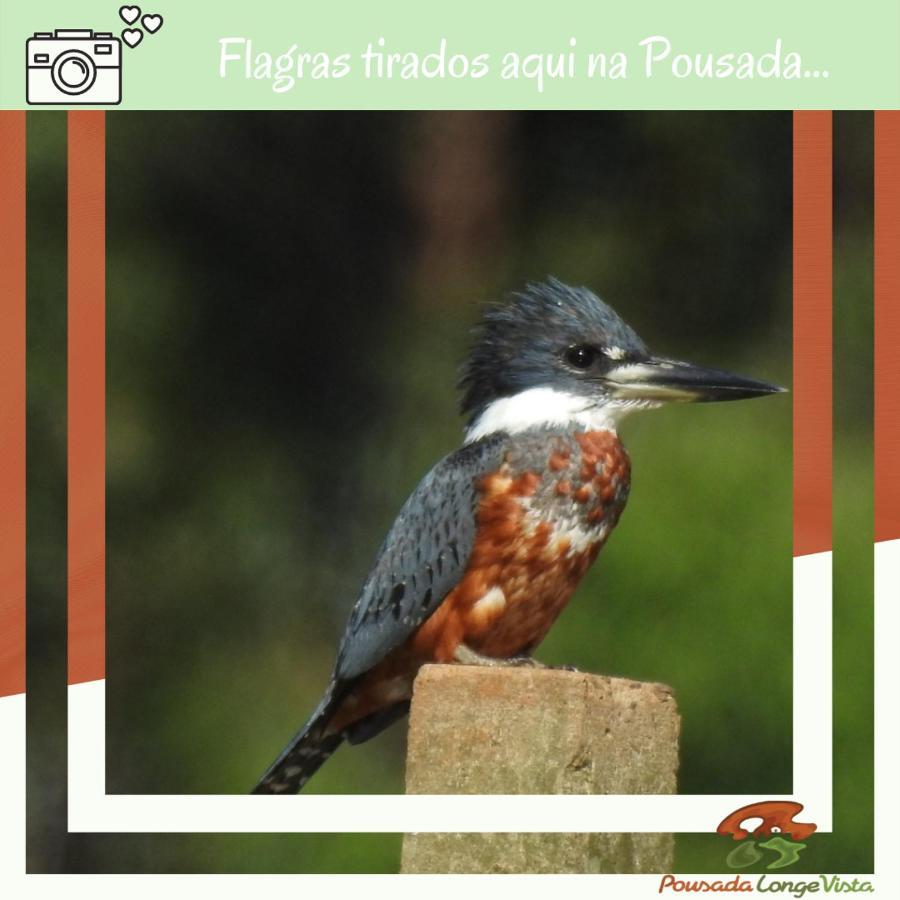 Pousada Longe Vista Tibagi Exterior foto