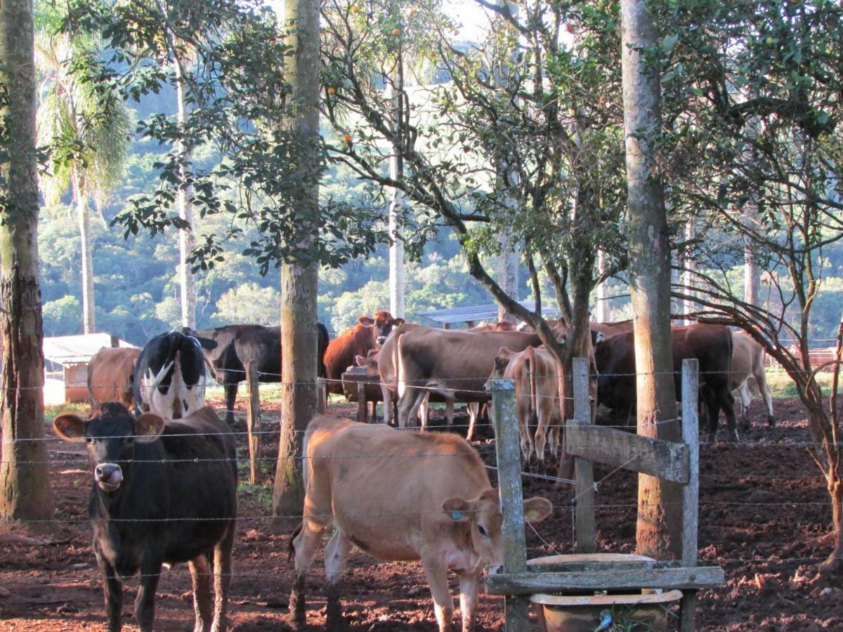 Pousada Longe Vista Tibagi Exterior foto