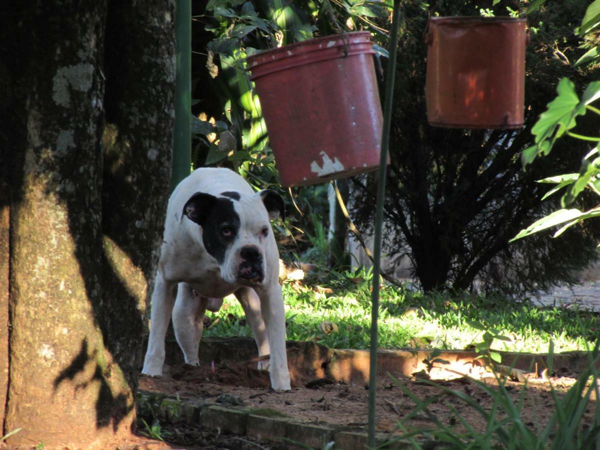 Pousada Longe Vista Tibagi Exterior foto
